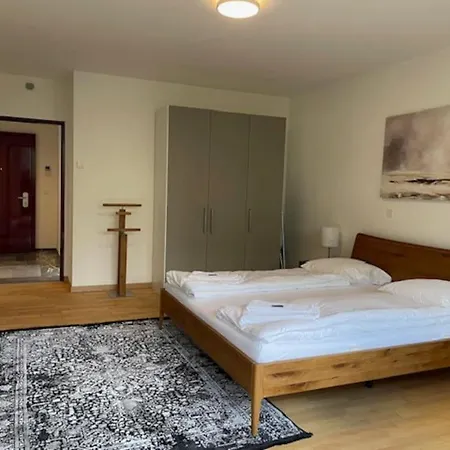 Amazing 2 Bedroom Flat: Specious And * 苏黎世